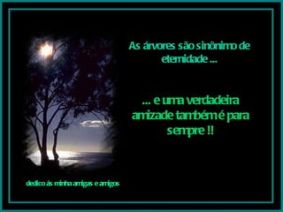 As árvores são sinônimo de eternidade ... ... e uma verdadeira amizade também é para sempre !! dedico ás minha amigas e amigos 