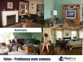 Realização
Animais
Fotos – Problemas mais comuns
 