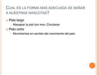 CUAL ES LA FORMA MAS ADECUADA DE BAÑAR
A NUESTRAS MASCOTAS?
 Pelo largo
Masajear la piel con mov. Circulares
 Pelo corto
Movimientos en sentido del crecimiento del pelo
 
