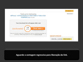Aguarde a contagem regressiva para liberação do link.
 
