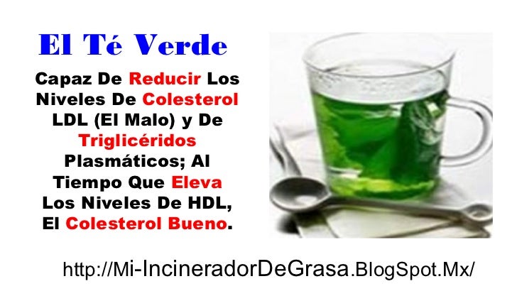 Cambiar como perder peso mas rapido haciendo ejercicio Como perder peso mas rapido haciendo ejercicio Whey Gold Protein