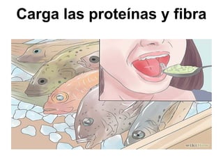 Carga las proteínas y fibra
 