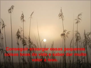 Conseguir enxergar essas pequenas
coisas boas da vida e saber dar muito
            valor a isso.
 