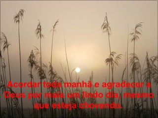 Acordar toda manhã e agradecer a
Deus por mais um lindo dia, mesmo
      que esteja chovendo.
 
