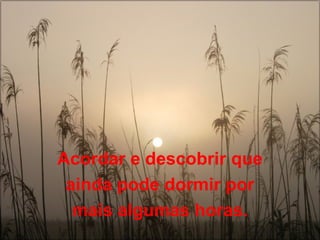 Acordar e descobrir que ainda pode dormir por mais algumas horas. 