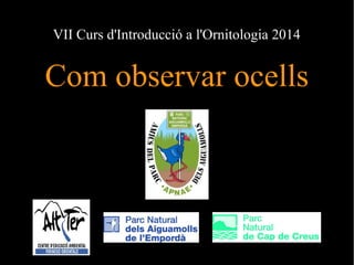 VII Curs d'Introducció a l'Ornitologia 2014 
Com observar ocells 
 