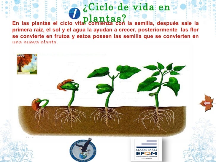 Como cambian los_seres_vivos (1)