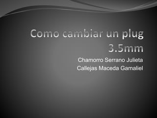 Chamorro Serrano Julieta
Callejas Maceda Gamaliel
 