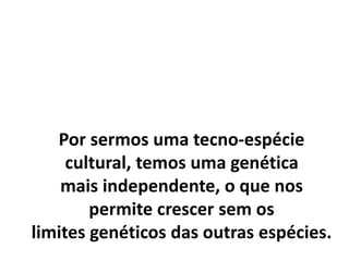 Por sermos uma tecno-espécie
cultural, temos uma genética
mais independente, o que nos
permite crescer sem os
limites genéticos das outras espécies.
 