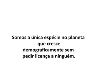 Somos a única espécie no planeta
que cresce
demograficamente sem
pedir licença a ninguém.
 