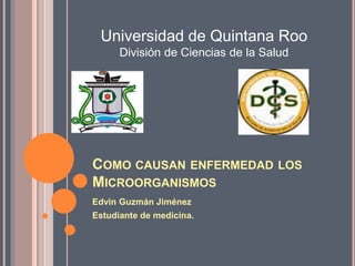COMO CAUSAN ENFERMEDAD LOS
MICROORGANISMOS
Edvin Guzmán Jiménez
Estudiante de medicina.
Universidad de Quintana Roo
División de Ciencias de la Salud
 