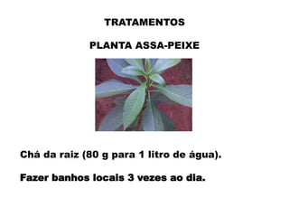 Como Combater o Unheiro Com Remédios Naturais Caseiros | PPTX