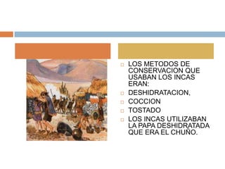    LOS METODOS DE
    CONSERVACION QUE
    USABAN LOS INCAS
    ERAN:
   DESHIDRATACION,
   COCCION
   TOSTADO
   LOS INCAS UTILIZABAN
    LA PAPA DESHIDRATADA
    QUE ERA EL CHUÑO.
 