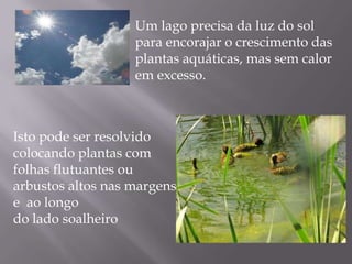 Longe de electricidade e esgotos atenção : Á presença de cabos e tubos subterrâneos