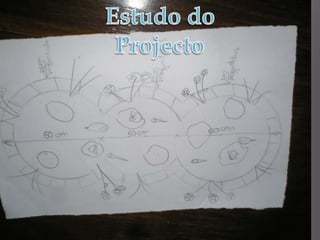 Um lago precisa da luz do sol para encorajar o crescimento das plantas aquáticas, mas sem calor em excesso.Isto pode ser resolvido colocando plantas com folhas flutuantes ou arbustos altos nas margens e  ao longo do lado soalheiro