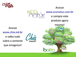Acesse
www.chia.ind.br
e saiba tudo
sobre a semente
que emagrece!
contato@chia.ind.br / Telefone: (49) 3433.0100

Acesse
www.econatuz.com.br
e compre este
produto agora
mesmo!

 