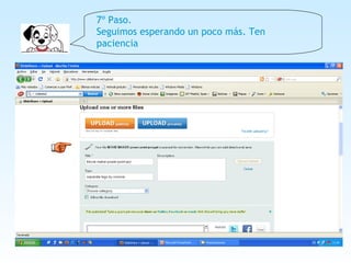 7º Paso. Seguimos esperando un poco más. Ten paciencia 