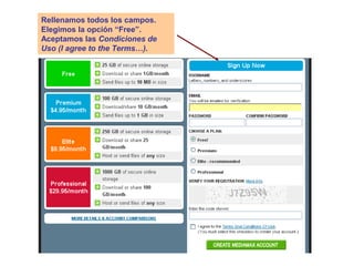 Rellenamos todos los campos.
Elegimos la opción “Free”.
Aceptamos las Condiciones de
Uso (I agree to the Terms…).
 