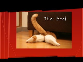 Como criar apresentações em 10 passos simples