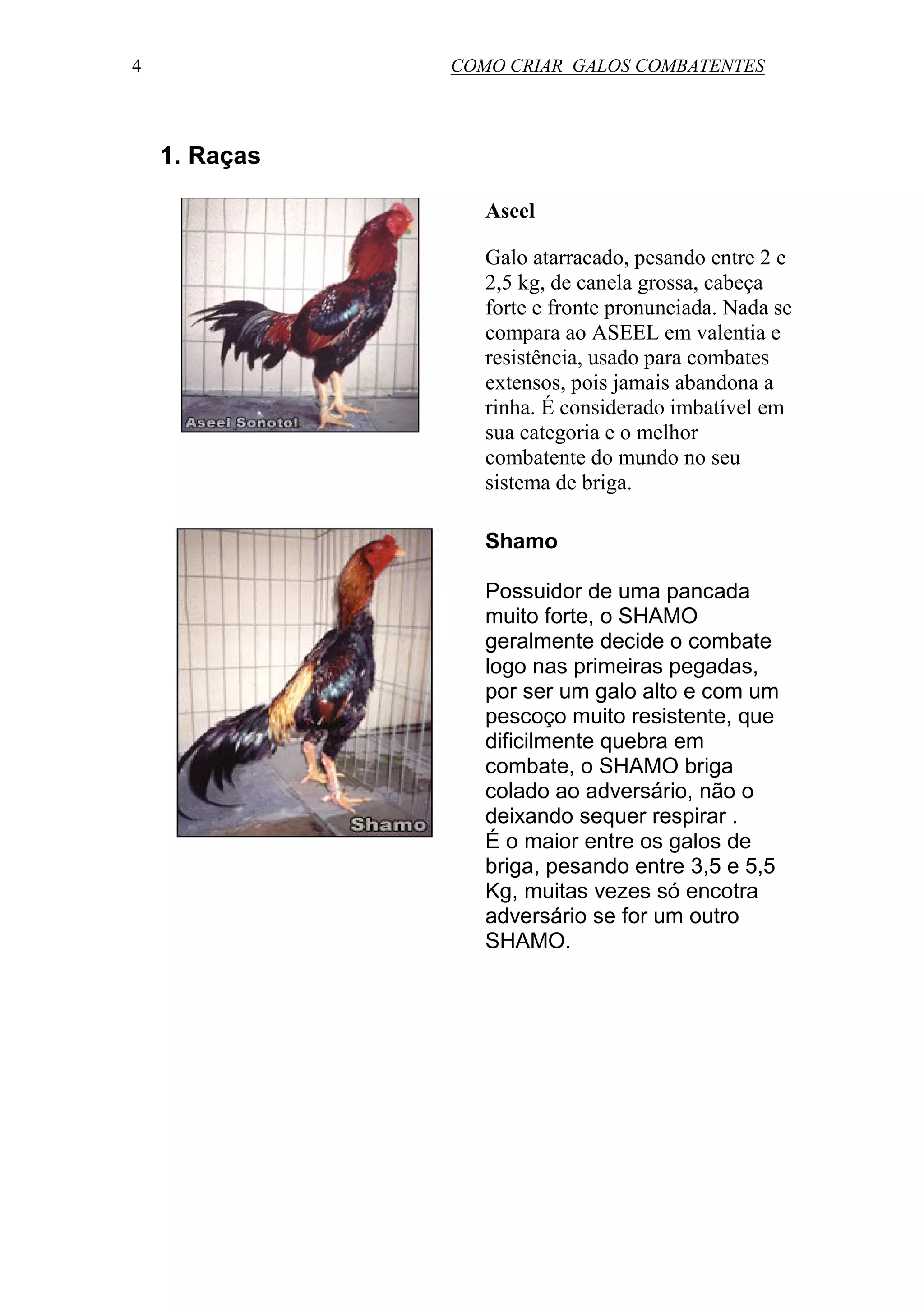 como-criar-galos-combatentes-pdf