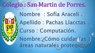 Colegio : San Martin de Porres.
 