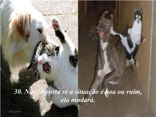 30. Não importa se a situação é boa ou ruim,
                  ela mudará.
8/11/2012                                         31
 