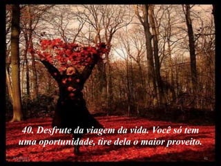 40. Desfrute da viagem da vida. Você só tem
  uma oportunidade, tire dela o maior proveito.
8/11/2012                                         41
 