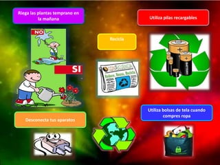 la mañana Utiliza pilas recargables 
Recicla 
Riega las plantas temprano en 
Desconecta tus aparatos 
Utiliza bolsas de tela cuando 
compres ropa 
 