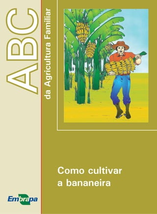 ABC 
da Agricultura Familiar 
Como cultivar 
a bananeira 
 