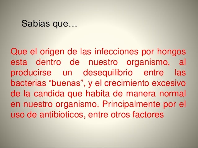 El hongo bajo la uña sobre un dedo del pie