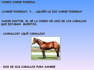 COMIO CARNE PODRIDA. ¿CARNE PODRIDA?. Y... ¿QUIÉN LE DIO CARNE PODRIDA? NADIE DOCTOR, EL SE LA COMIO DE UNO DE LOS CABALLOS QUE ESTABAN  MUERTOS. ¿CABALLOS? ¿QUÉ CABALLOS? DOS DE SUS CABALLOS PURA SANGRE 