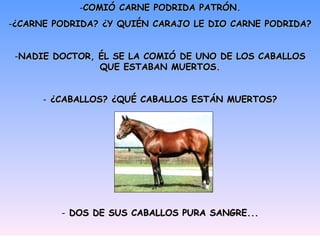 COMIÓ CARNE PODRIDA PATRÓN. ¿CARNE PODRIDA? ¿Y QUIÉN CARAJO LE DIO CARNE PODRIDA? NADIE DOCTOR, ÉL SE LA COMIÓ DE UNO DE LOS CABALLOS QUE ESTABAN MUERTOS. ¿CABALLOS? ¿QUÉ CABALLOS ESTÁN MUERTOS? DOS DE SUS CABALLOS PURA SANGRE... 