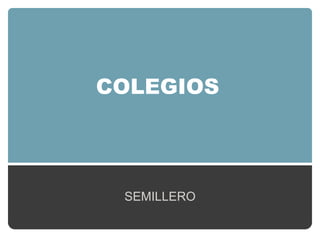 COLEGIOS




 SEMILLERO
 