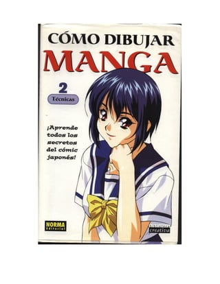  CÓMO DIBUJAR MANGA 02. TÉCNICAS (Como Dibujar Manga / How to  Draw Manga) (Spanish Edition): 9788484313731: La Sociedad para el Estudio  de las Técnicas del Manga: Books