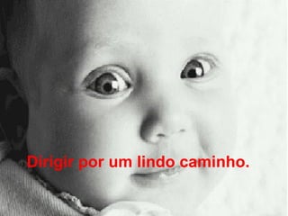 Dirigir por um lindo caminho.  