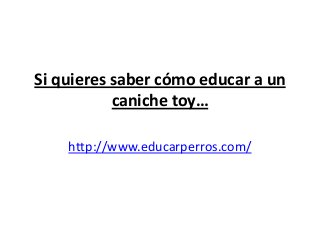 Si quieres saber cómo educar a un
           caniche toy…

    http://www.educarperros.com/
 
