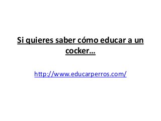 Si quieres saber cómo educar a un
             cocker…

    http://www.educarperros.com/
 