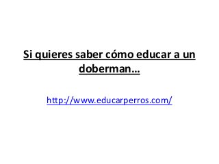Si quieres saber cómo educar a un
            doberman…

    http://www.educarperros.com/
 