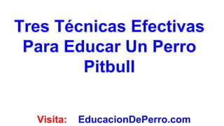 Tres Técnicas Efectivas
 Para Educar Un Perro
        Pitbull


  Visita:   EducacionDePerro.com
 