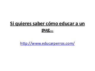 Si quieres saber cómo educar a un
               pug…

    http://www.educarperros.com/
 