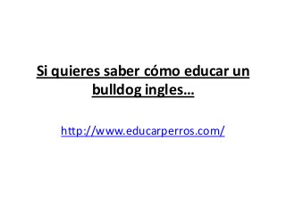 Si quieres saber cómo educar un
         bulldog ingles…

   http://www.educarperros.com/
 
