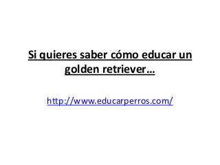 Si quieres saber cómo educar un
        golden retriever…

   http://www.educarperros.com/
 