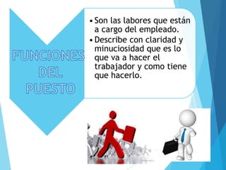 •Son las labores que están
a cargo del empleado.
•Describe con claridad y
minuciosidad que es lo
que va a hacer el
trabajador y como tiene
que hacerlo.
 