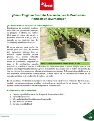 Figura 1. Cultivo de tomate en sustrato de fibra de coco.
¿Cómo Elegir un Sustrato Adecuado para la Producción
Hortícola en invernadero?
¿Existe un sustrato ideal para un cultivo específico?
Comúnmente un productor, técnico o
especialista en producción protegida
se pregunta si ¿Existe un sustrato
ideal para el cultivo sin suelo?, la
respuesta inmediata es no, ya que el
sustrato es un elemento más del
complejo agroecosistema hortícola.
El mejor sustrato para producción
variará para cada caso, de acuerdo
con numerosos factores: tipo de
material vegetal (semilla, estacas,
plantas, etc.), especie cultivada,
condiciones climáticas, tamaño y
forma del contenedor, programas de
riego y de fertilización, aspectos
económicos, experiencia local en su utilización, etc. Salvo situaciones extremas, ningún material que
cumpla unos requerimientos mínimos, puede considerarse inadecuado para el cultivo en sustrato. Ya
que los cultivos tienen respuesta a las características o propiedades de los sustratos más bien que a
sus materiales constituyentes o componentes, se debe hablar de las características ideales de los
sustratos a utilizar en la producción de cultivos sin suelo.
En un sistema de producción en sustrato o sin suelo se busca tener buenos resultados desde el inicio,
es decir, buena germinación de semillas, enraizamiento y crecimiento de las plantas. Para que esto
suceda, los sustratos deberían reunir las siguientes características:
Características físicas deseables:
1. Elevada capacidad de retención de agua fácilmente disponible*
2. Suficiente aireación*
3. Adecuada distribución del tamaño de partículas
4. Baja densidad aparente
5. Elevada porosidad total
 