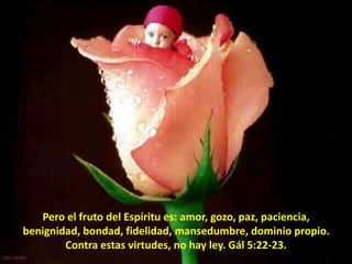 Pero el fruto del Espíritu es: amor, gozo, paz, paciencia, benignidad, bondad, fidelidad, mansedumbre, dominio propio. Contra estas virtudes, no hay ley. Gál 5:22-23.