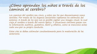 ¿Cómo aprenden los niños a través de los
caminos al cerebro?
Los caminos del cerebro son cinco, y estos son los que denominamos como
sentidos. Por medio de los órganos sensoriales captamos los estímulos del
entorno. A través de los ojos nos es posible captar una imagen visual, la cual
viaja al cerebro a través del nervio óptico. Y situaciones similares pasan con
la información auditiva, gustativa, táctil y olfativa, como se menciono antes
cada una por su propio conducto.
Estas vías se deben estimular constantemente para la maduración de las
anteriores.
 