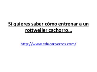 Si quieres saber cómo entrenar a un
        rottweiler cachorro…

     http://www.educarperros.com/
 