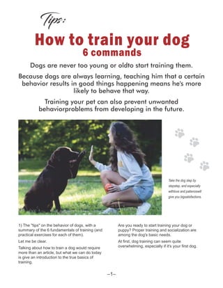 Dogs are never too young or oldto start training them.
Because dogs are always learning, teaching him that a certain
behavior results in good things happening means he's more
likely to behave that way.
Training your pet can also prevent unwanted
behaviorproblems from developing in the future.
How to train your dog
6 commands
1) The "tips" on the behavior of dogs, with a
summary of the 6 fundamentals of training (and
practical exercises for each of them).
Let me be clear.
Talking about how to train a dog would require
more than an article, but what we can do today
is give an introduction to the true basics of
training.
Are you ready to start training your dog or
puppy? Proper training and socialization are
among the dog's basic needs.
At ﬁrst, dog training can seem quite
overwhelming, especially if it's your ﬁrst dog.
Tips:
Take the dog step by
stepstep, and especially
withlove and patiencewill
give you bigsatisfactions.
–1–
 