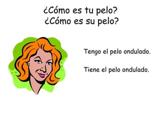 ¿Cómo es tu pelo?  ¿Cómo es su pelo? Tengo el pelo ondulado. Tiene el pelo ondulado. 