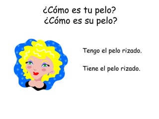 ¿Cómo es tu pelo?  ¿Cómo es su pelo? Tengo el pelo rizado. Tiene el pelo rizado. 